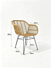 Rattan Outdoor Chair | PE Rattan & Iron Frame