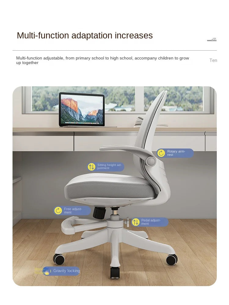 MOMO Sedentary Study Chairs
