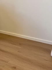 Cat Stool